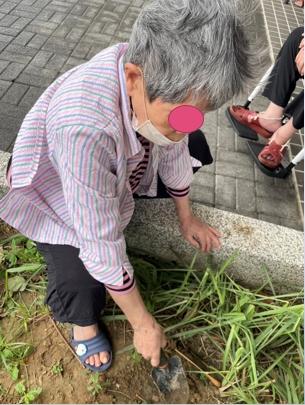 銀寶長照社團法人私立後龍住宿長照機構-種綠豆