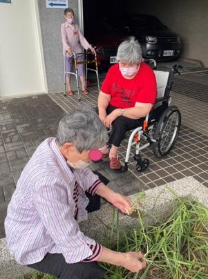 銀寶長照社團法人私立後龍住宿長照機構-種綠豆