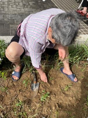 銀寶長照社團法人私立後龍住宿長照機構-種綠豆